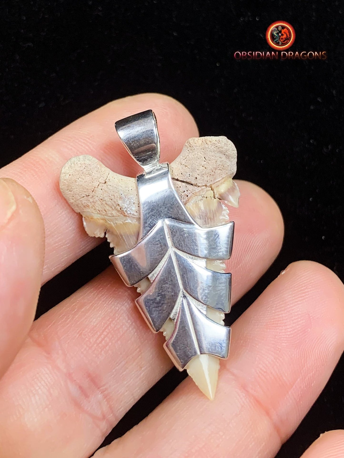 Pendentif Dent de Requin - Palaeocarcharodon - Argent & Jade