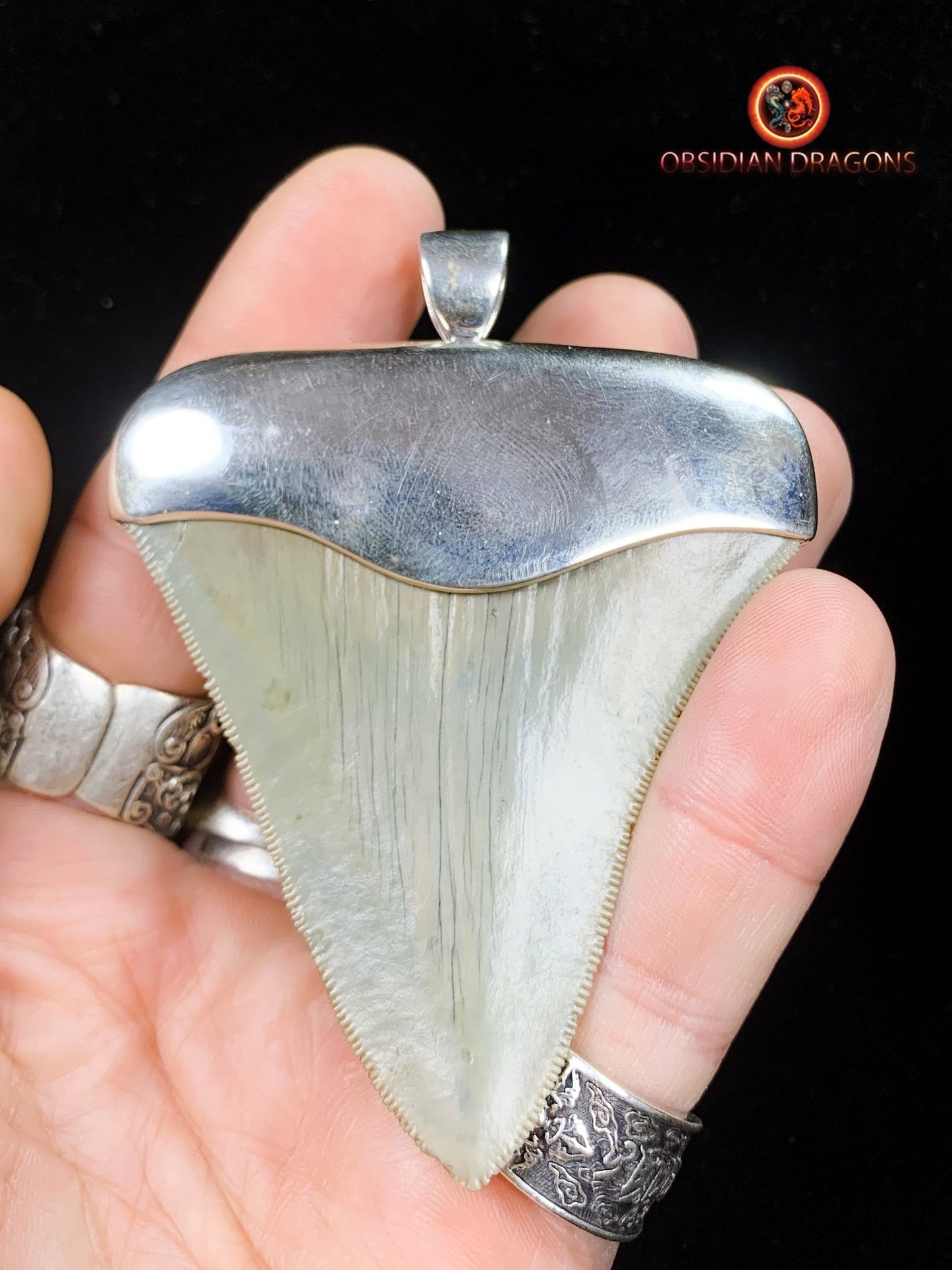 Pendentif Dent de Mégalodon - Jade Polaire - Argent 925
