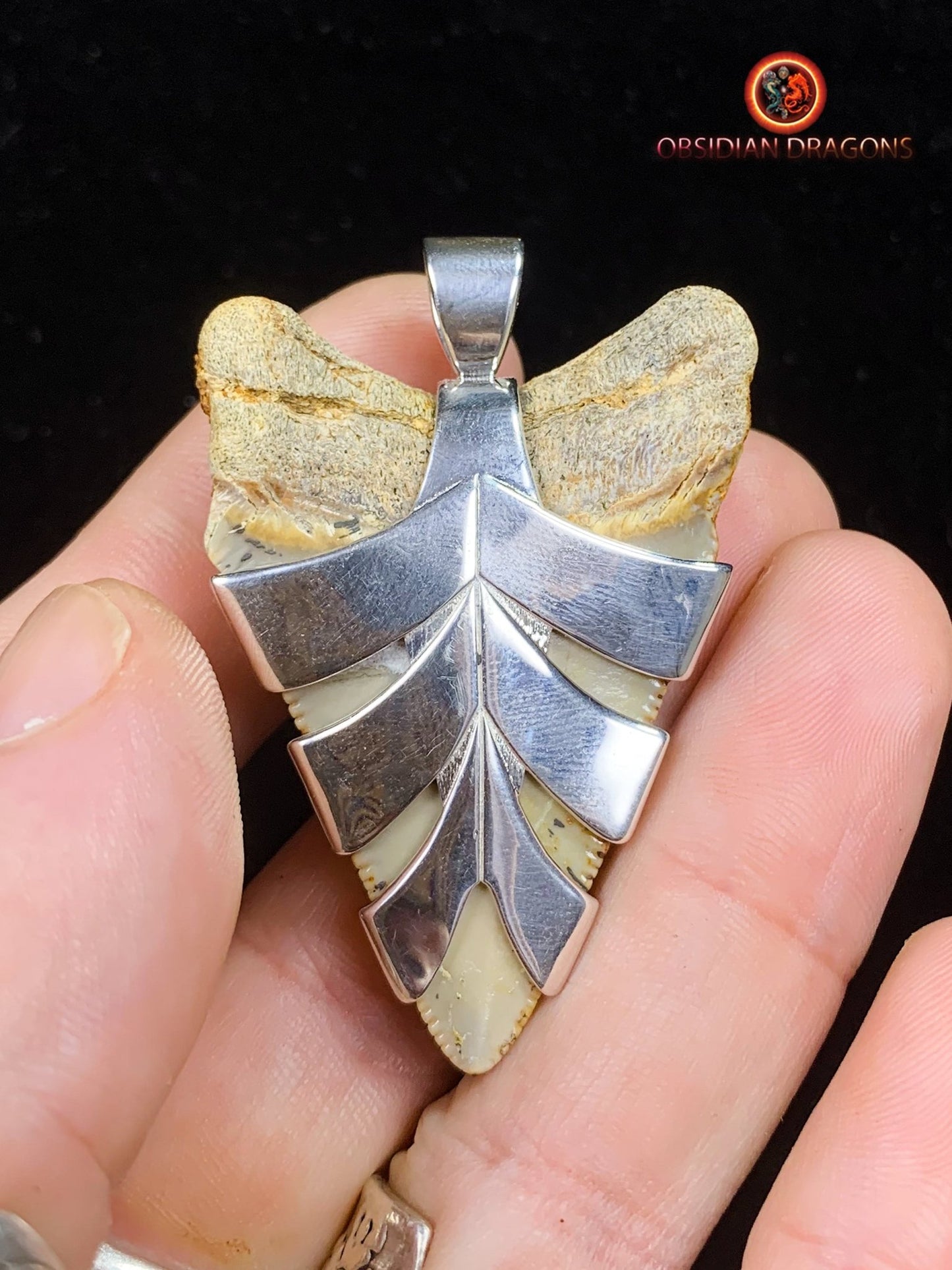 Pendentif Dent de Mégalodon - Jade- Argent 925