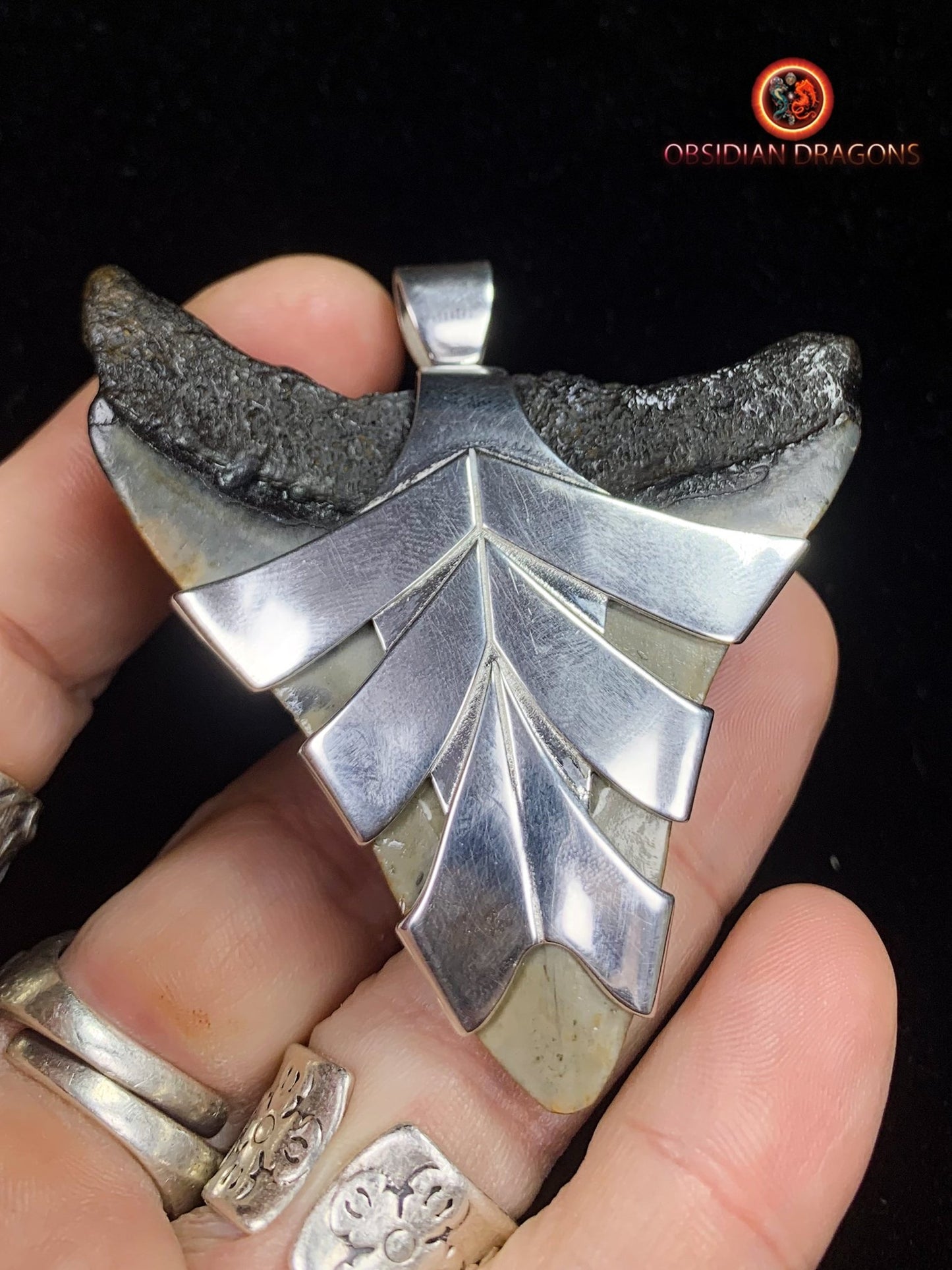 Pendentif Dent de Mégalodon - Jade- Argent 925