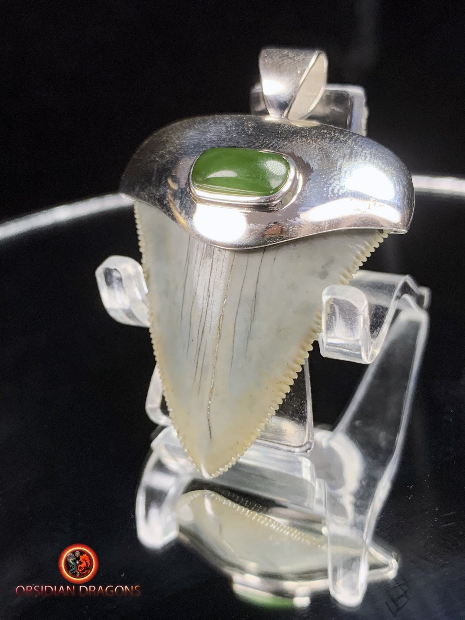 Pendentif Dent de Mégalodon - Jade- Argent 925