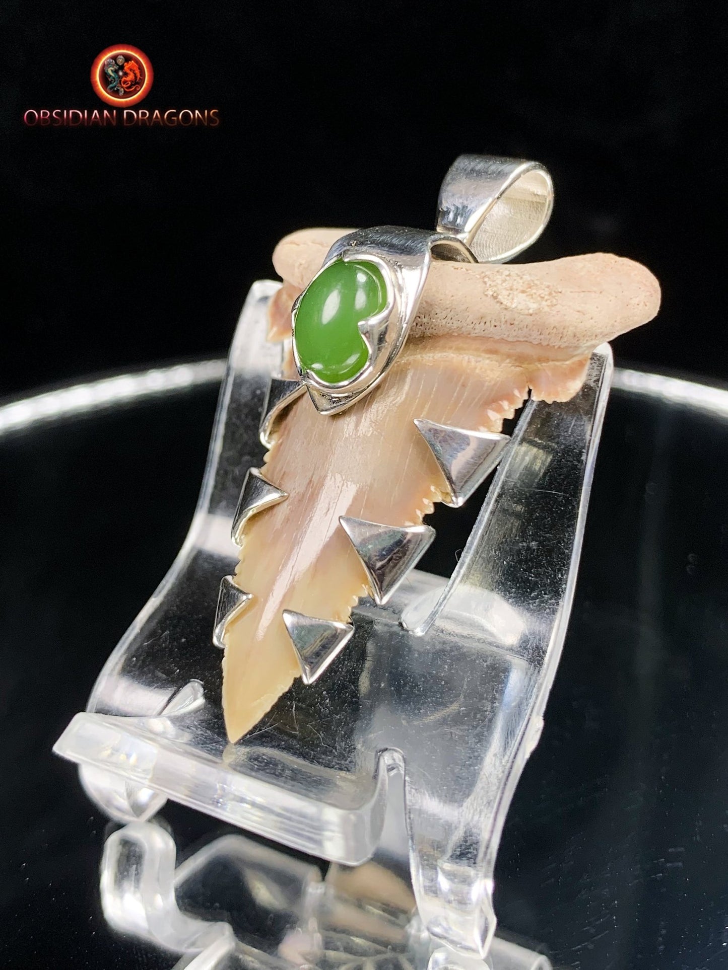 Pendentif Dent de Requin - Palaeocarcharodon - Argent & Jade