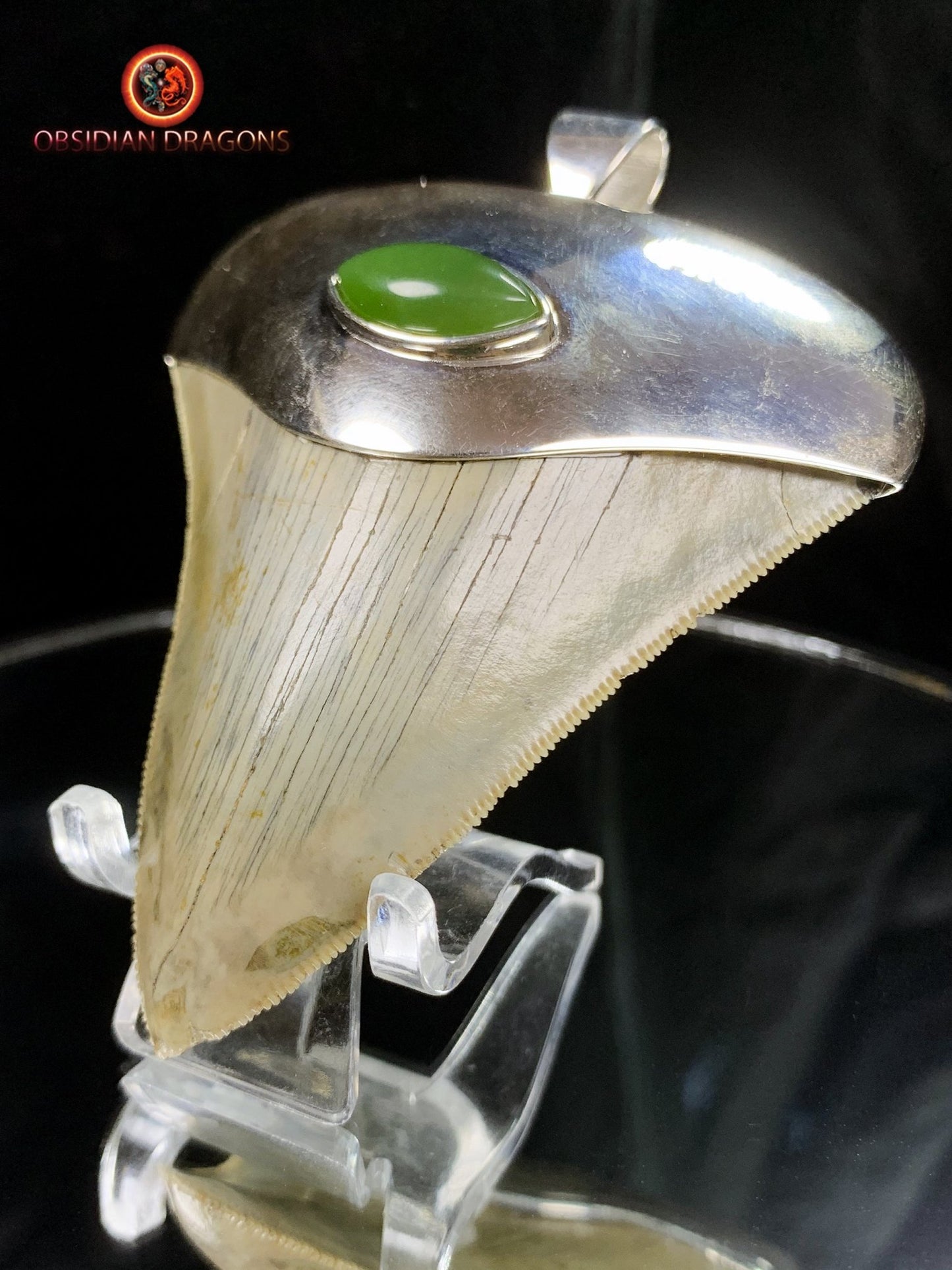 Pendentif Dent de Mégalodon - Jade Polaire - Argent 925