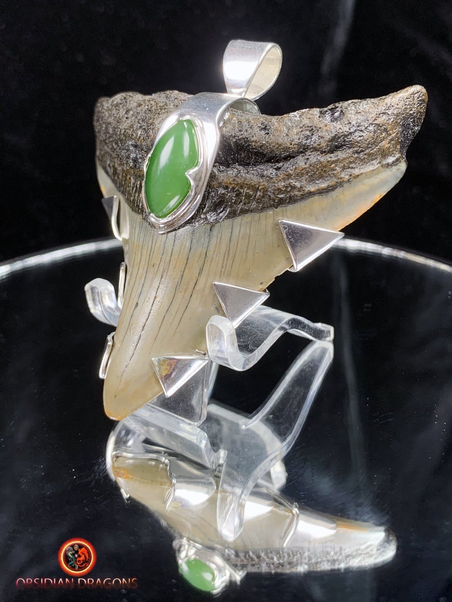 Pendentif Dent de Mégalodon - Jade- Argent 925