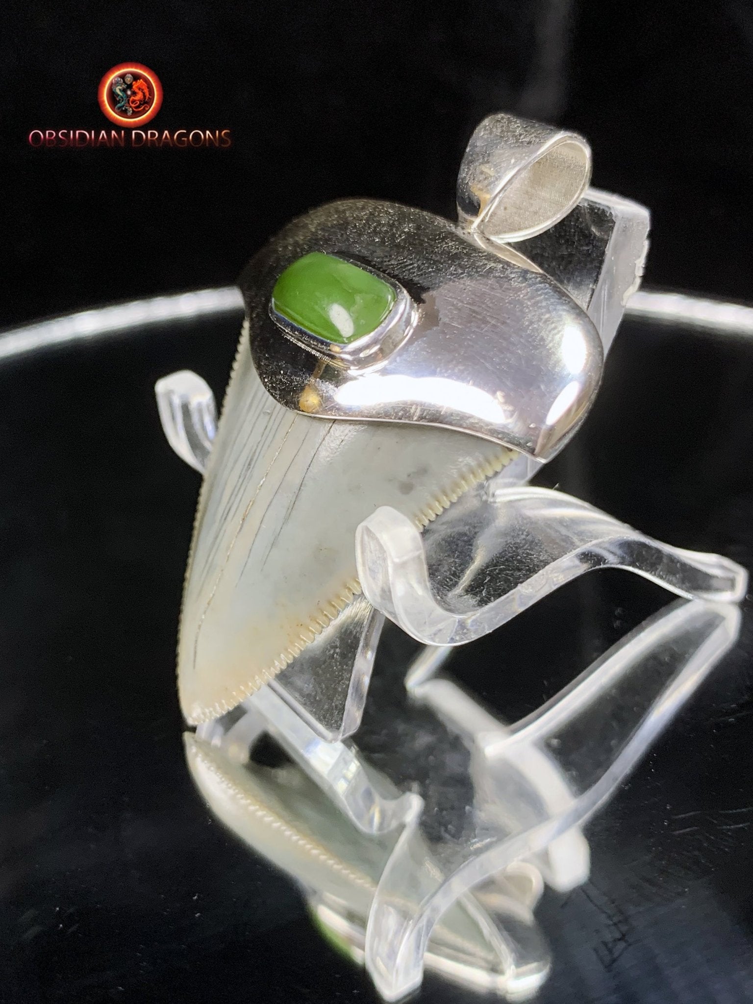 Pendentif Dent de Mégalodon - Jade- Argent 925