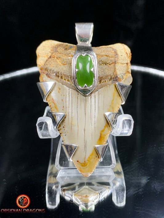 Pendentif Dent de Mégalodon - Jade- Argent 925