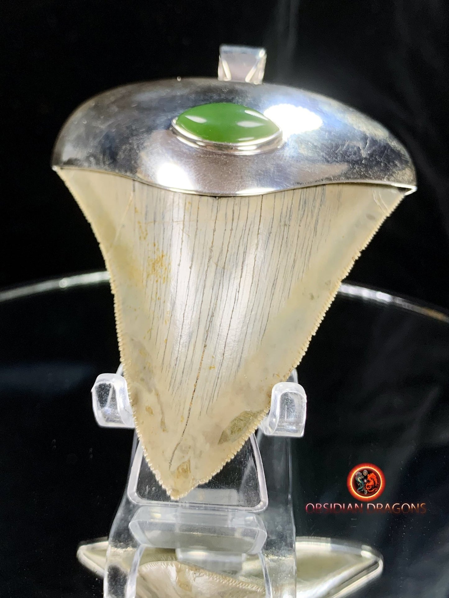 Pendentif Dent de Mégalodon - Jade Polaire - Argent 925