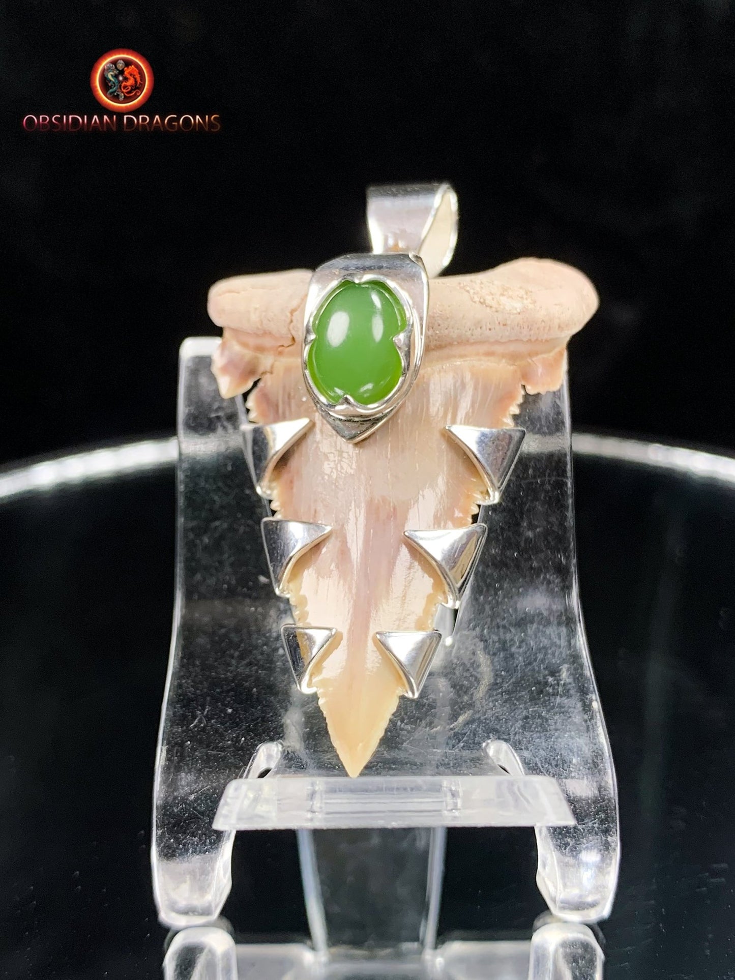 Pendentif Dent de Requin - Palaeocarcharodon - Argent & Jade