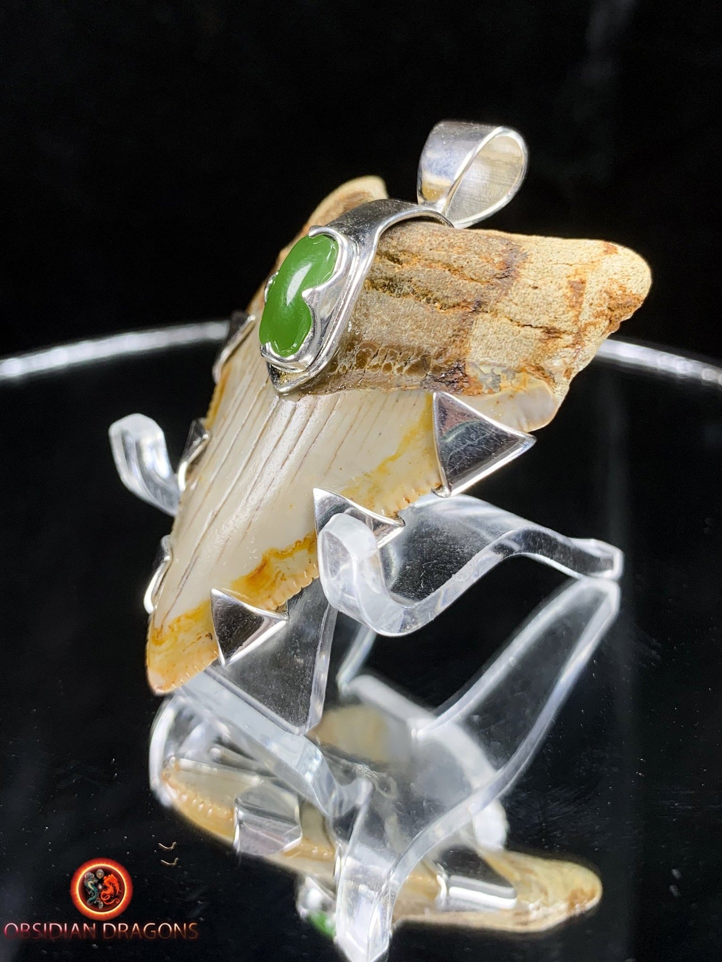 Pendentif Dent de Mégalodon - Jade- Argent 925