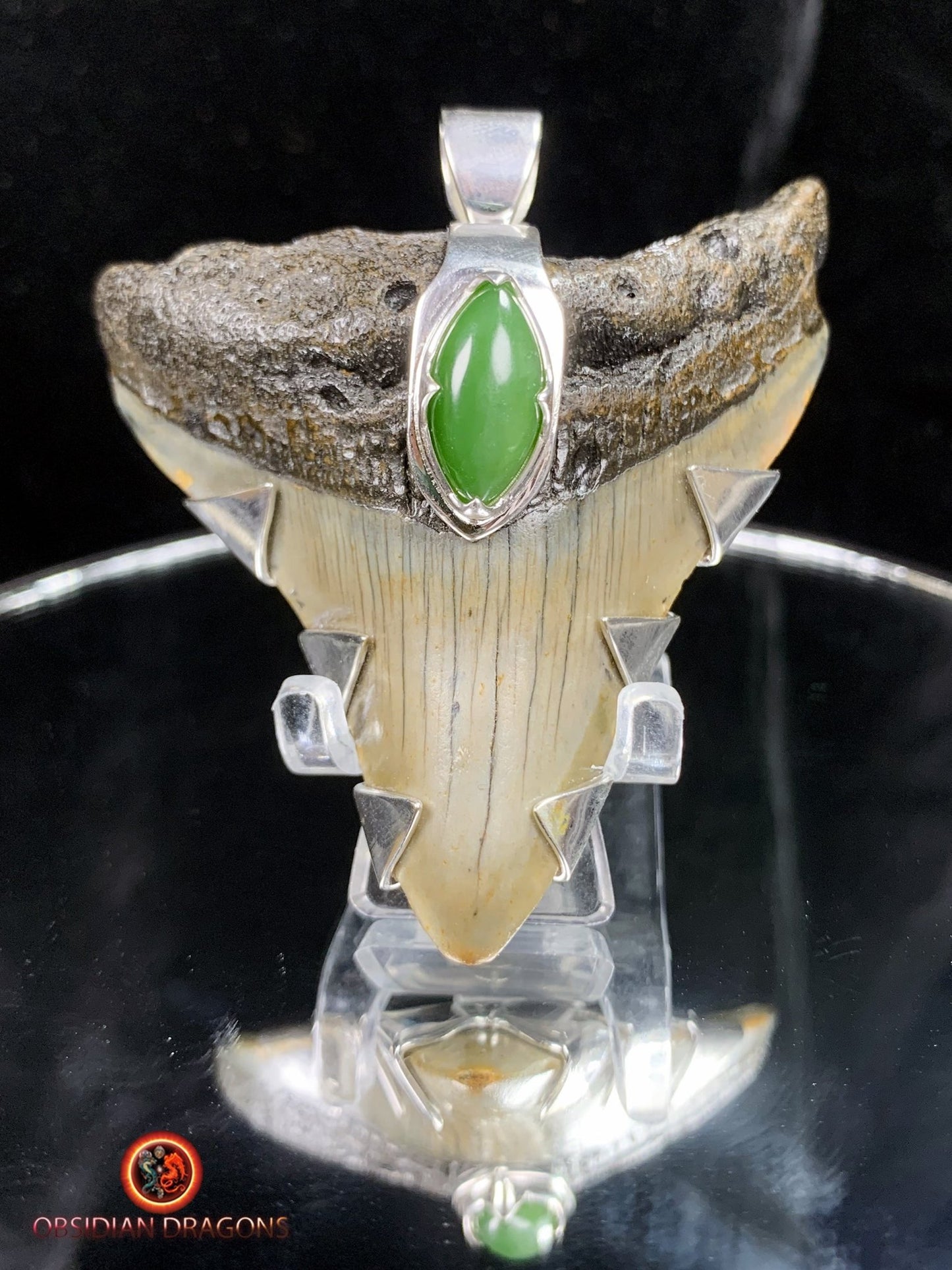 Pendentif Dent de Mégalodon - Jade- Argent 925