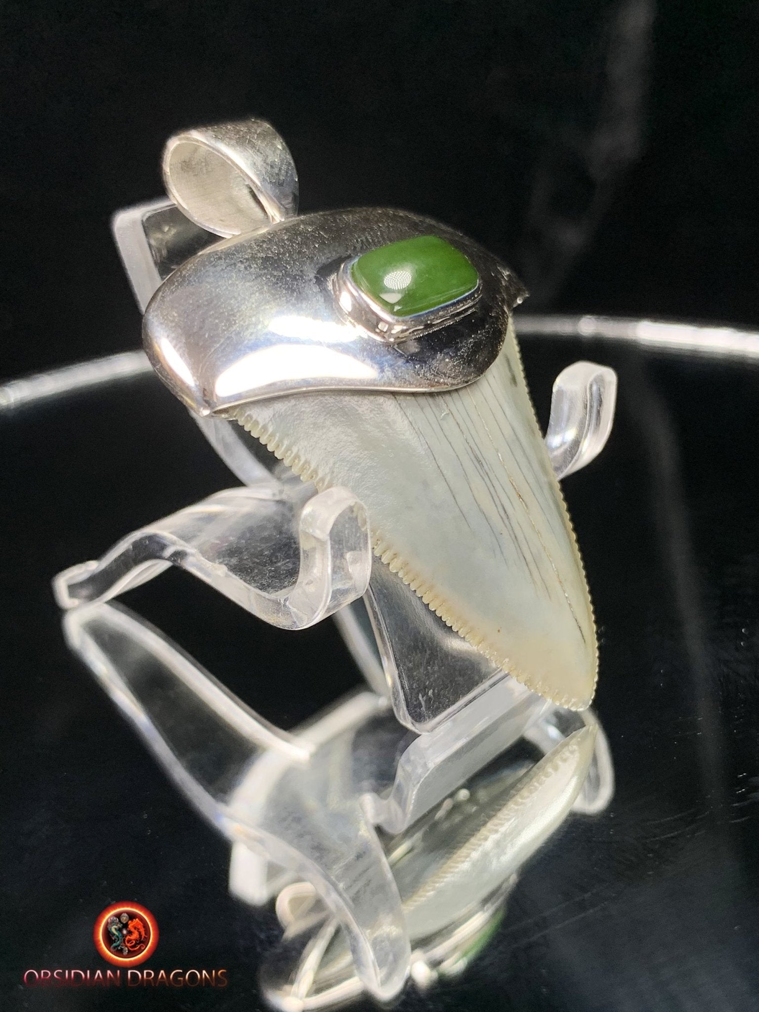 Pendentif Dent de Mégalodon - Jade- Argent 925