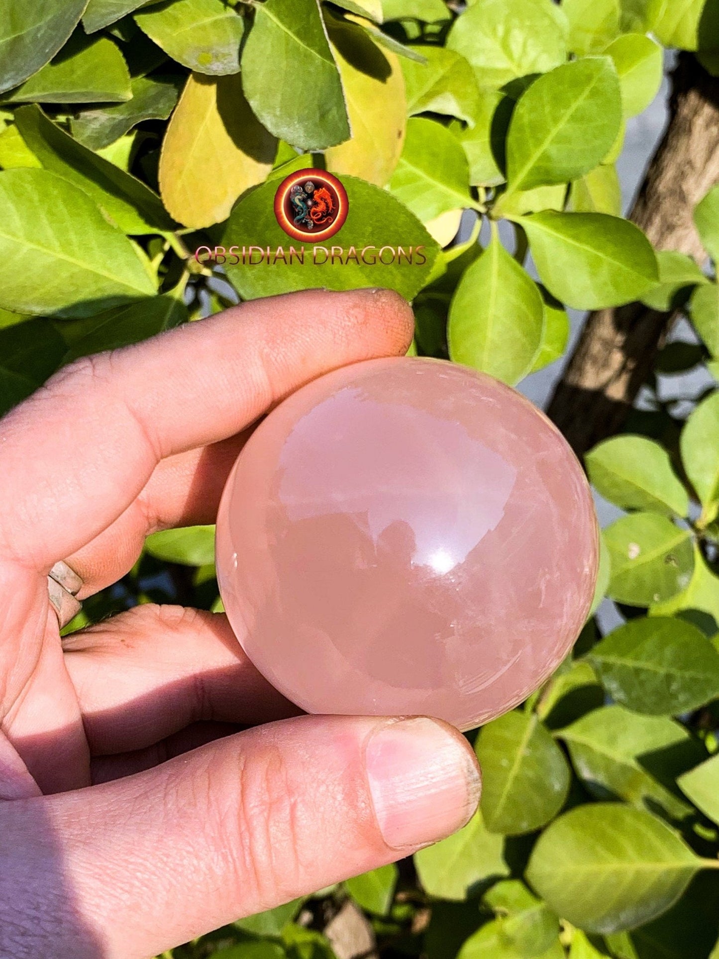 Sphère, quartz rose étoilé, quartz rose astérié ou quartz rose astérisé. Provenance du Mozambique. quartz rose naturel. 55mm de diamètre - obsidian dragon