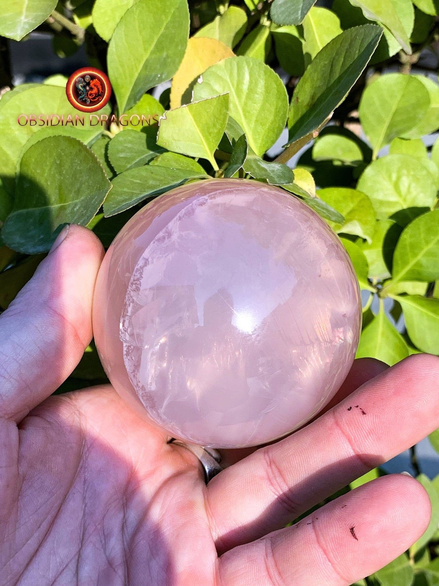 Sphère, quartz rose étoilé rare quartz rose astérié ou quartz rose astérisé. Provenance du Mozambique. quartz rose naturel. 70mm de diamètre - obsidian dragon