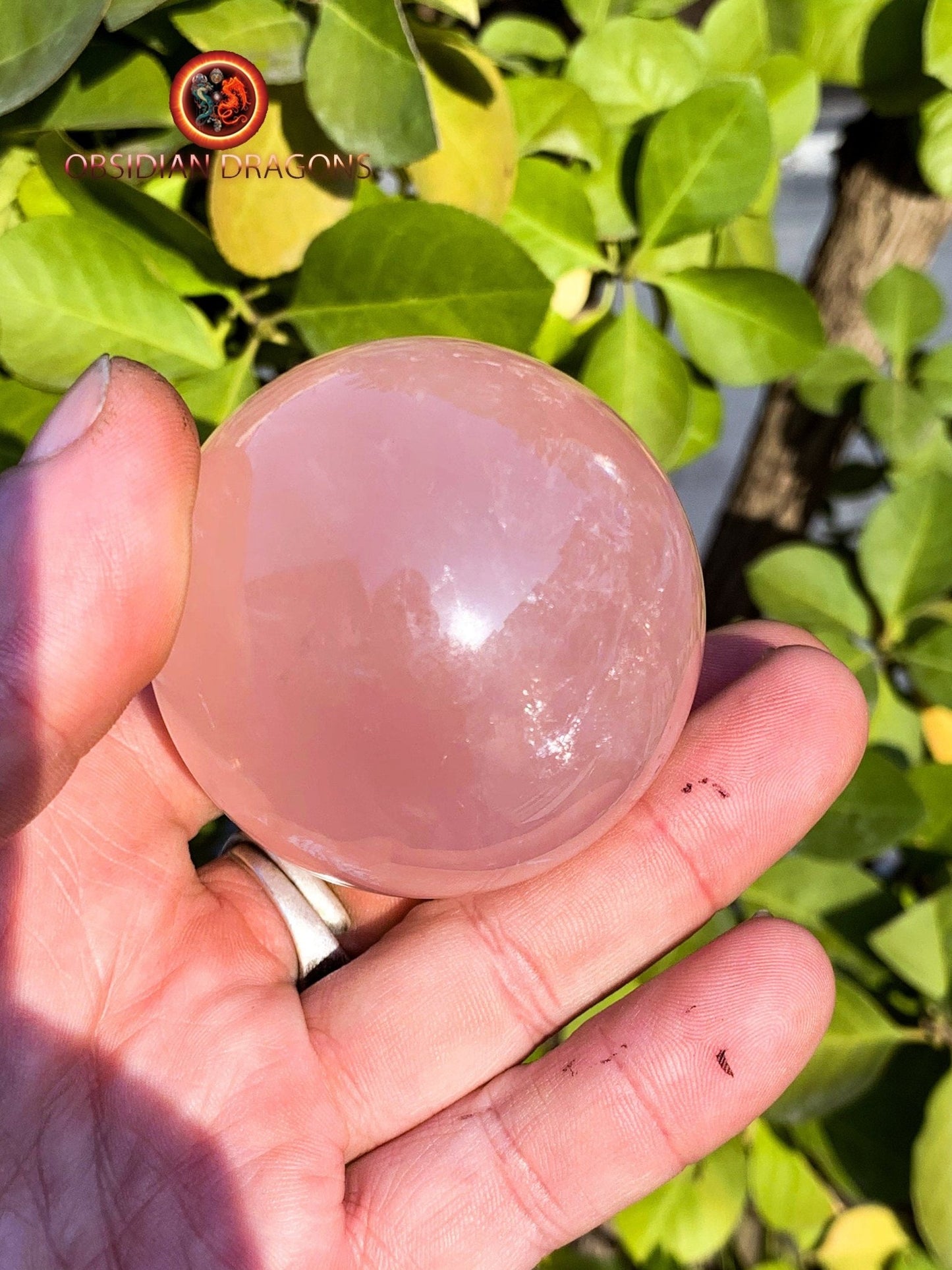 Sphère, quartz rose étoilé, quartz rose astérié ou quartz rose astérisé. Provenance du Mozambique. quartz rose naturel. 55mm de diamètre - obsidian dragon