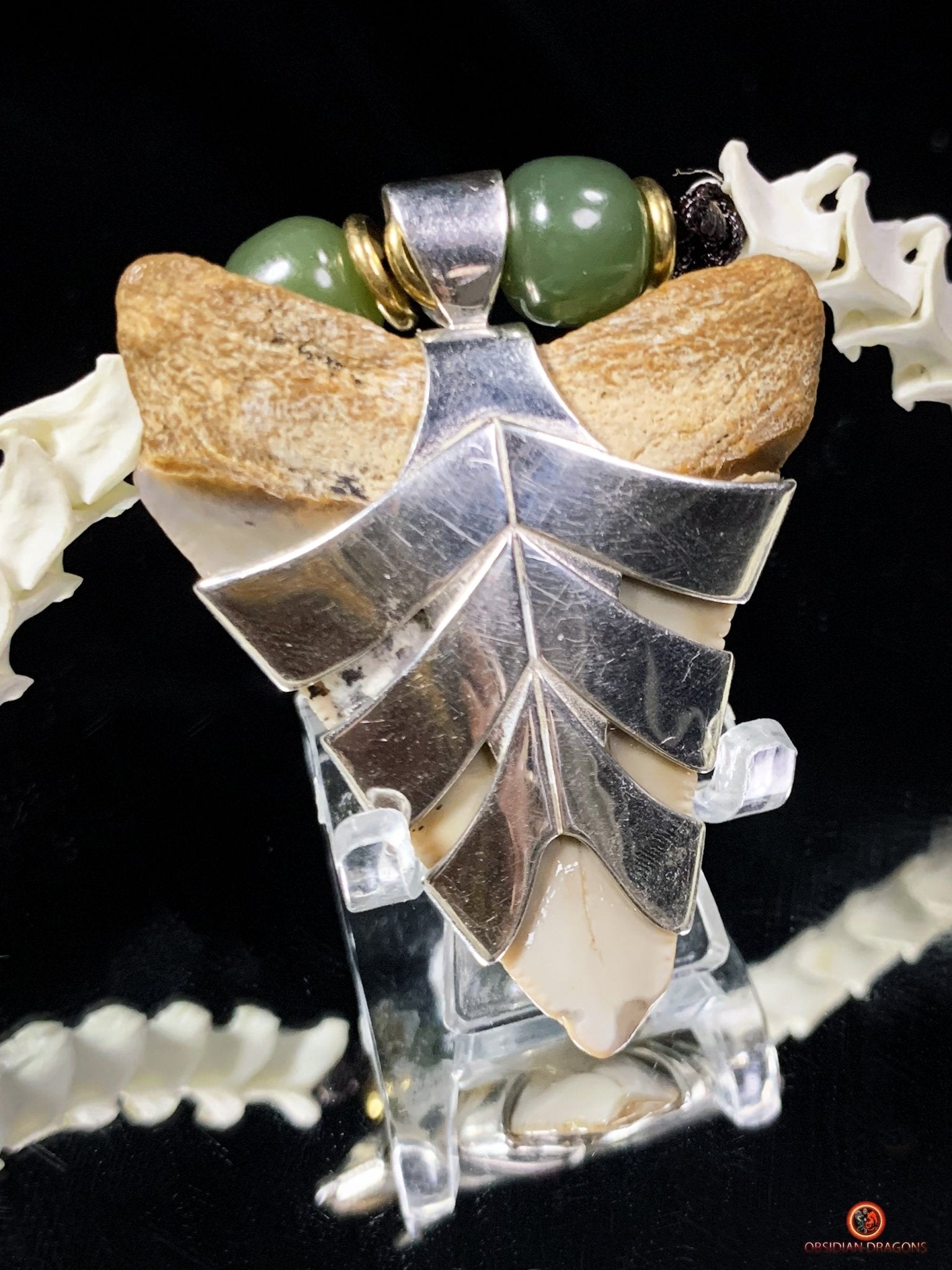 Collier Dent de Mégalodon et Vertèbres de Serpent – Collier Totem | obsidian dragons