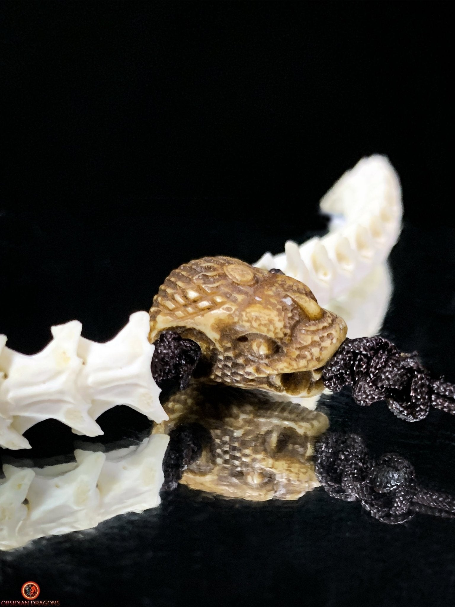 Collier Dent de Mégalodon et Vertèbres de Serpent – Collier Totem | obsidian dragons