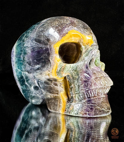 Crâne de Cristal en Fluorite Multicolore – Axe de Lumière | obsidian dragons