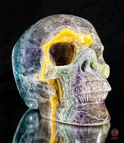 Crâne de Cristal en Fluorite Multicolore – Axe de Lumière | obsidian dragons