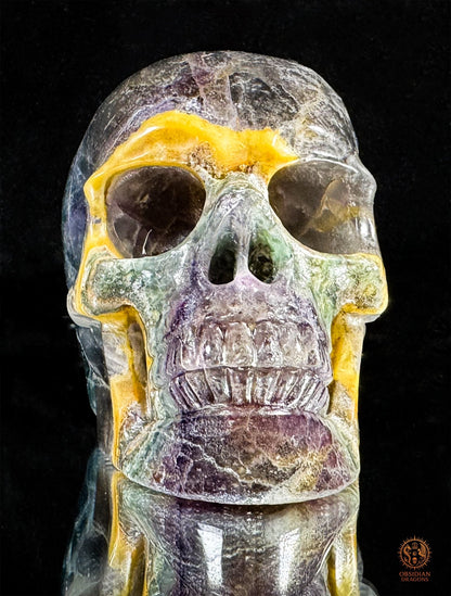 Crâne de Cristal en Fluorite Multicolore – Axe de Lumière | obsidian dragons