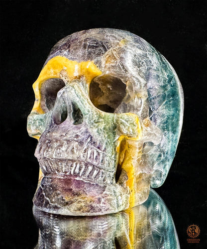 Crâne de Cristal en Fluorite Multicolore – Axe de Lumière | obsidian dragons