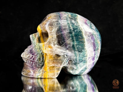 Crâne de Cristal en Fluorite Multicolore – Axe de Lumière | obsidian dragons