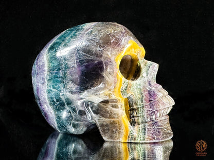 Crâne de Cristal en Fluorite Multicolore – Axe de Lumière | obsidian dragons