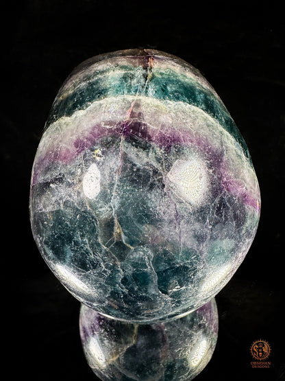 Crâne de Cristal en Fluorite Multicolore – Axe de Lumière - obsidian dragons