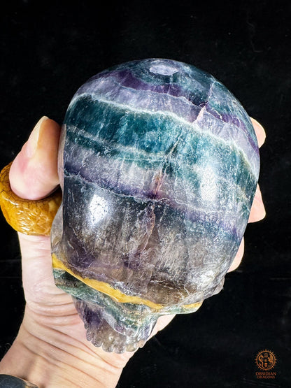 Crâne de Cristal en Fluorite Multicolore – Axe de Lumière | obsidian dragons