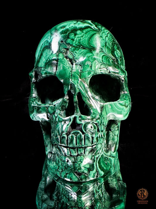 Crâne en Malachite Naturelle 3kg - Rare et exceptionnel | obsidian dragons