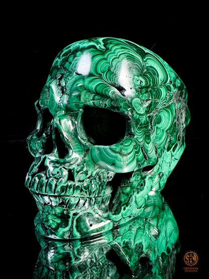 Crâne en Malachite Naturelle 3kg - Rare et exceptionnel | obsidian dragons
