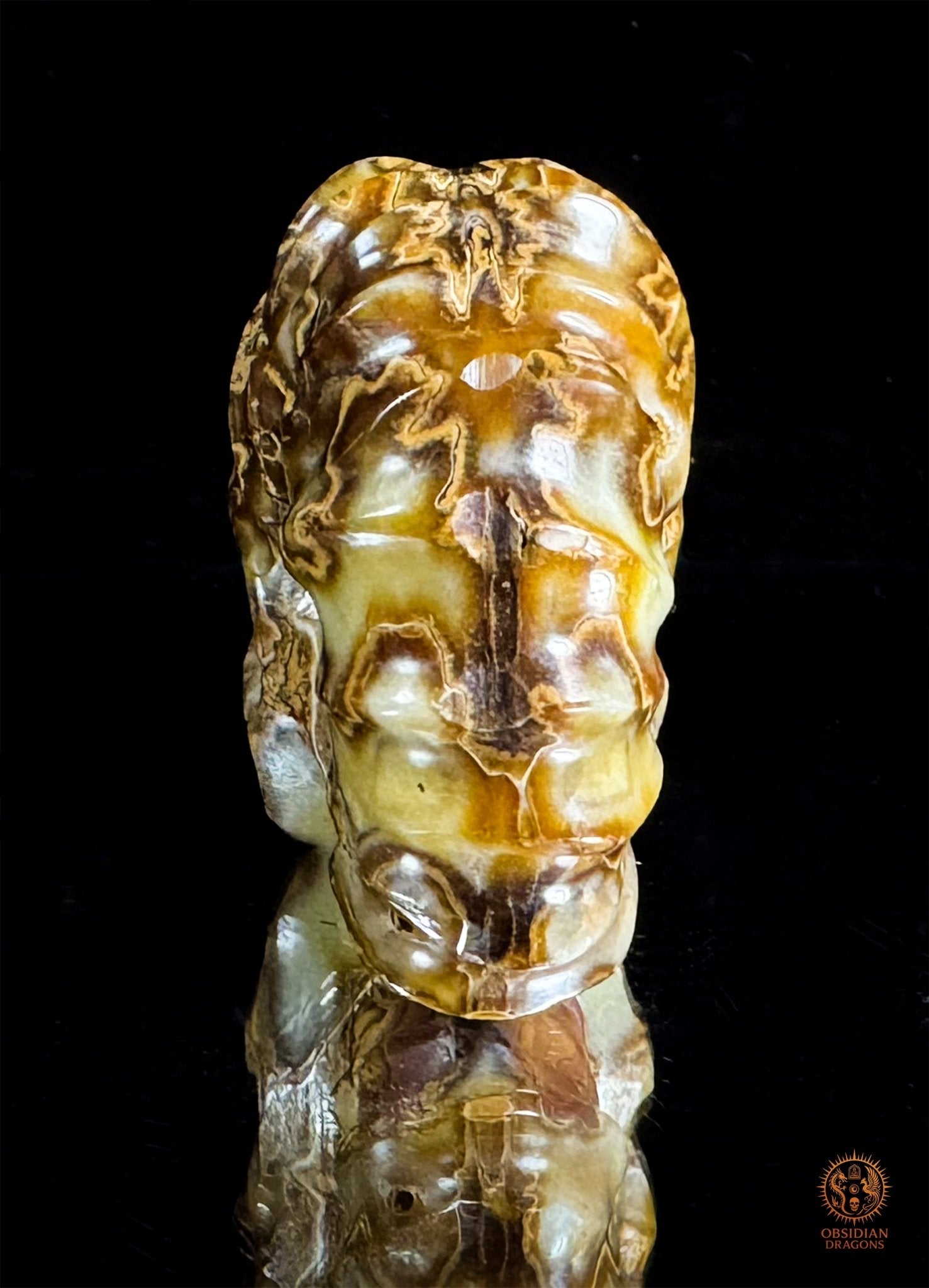 Crâne en ammonite fossile Douveilliceras – Collection | obsidian dragons