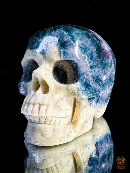 Crâne en fluorite & calcite - Sculpture minérale rare | obsidian dragons