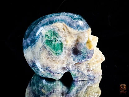 Crâne en fluorite & calcite - Sculpture minérale rare | obsidian dragons