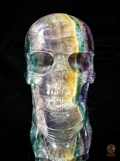 Crâne en fluorite arc-en-ciel – Crâne de cristal rare | obsidian dragons