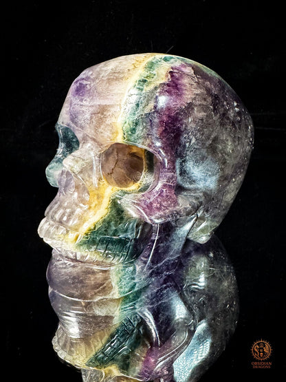Crâne en fluorite arc-en-ciel – Crâne de cristal rare - obsidian dragons