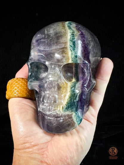 Crâne en fluorite arc-en-ciel – Crâne de cristal rare | obsidian dragons