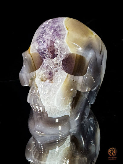 Crâne en géode d’améthyste naturelle XXL – Pièce maîtresse | obsidian dragons