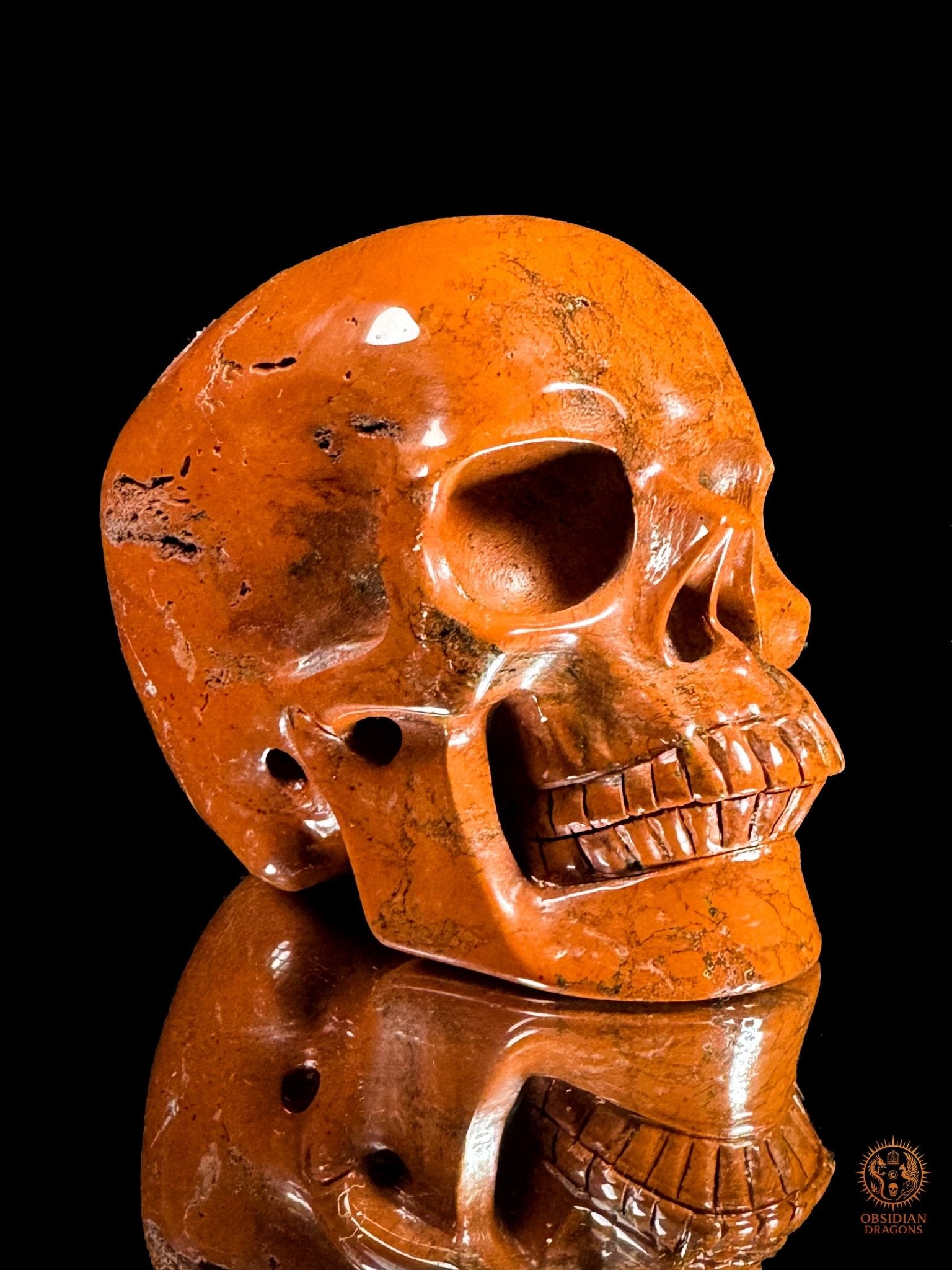 Crâne en jaspe rouge - Vanité minérale de collection | obsidian dragons