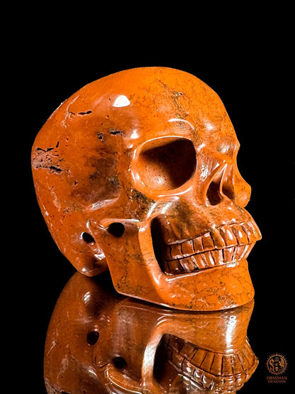 Crâne en jaspe rouge - Vanité minérale de collection | obsidian dragons