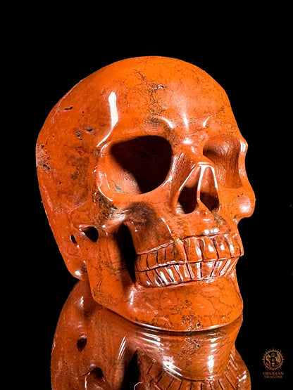 Crâne en jaspe rouge - Vanité minérale de collection | obsidian dragons