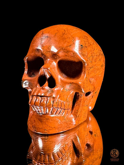 Crâne en jaspe rouge - Vanité minérale de collection | obsidian dragons