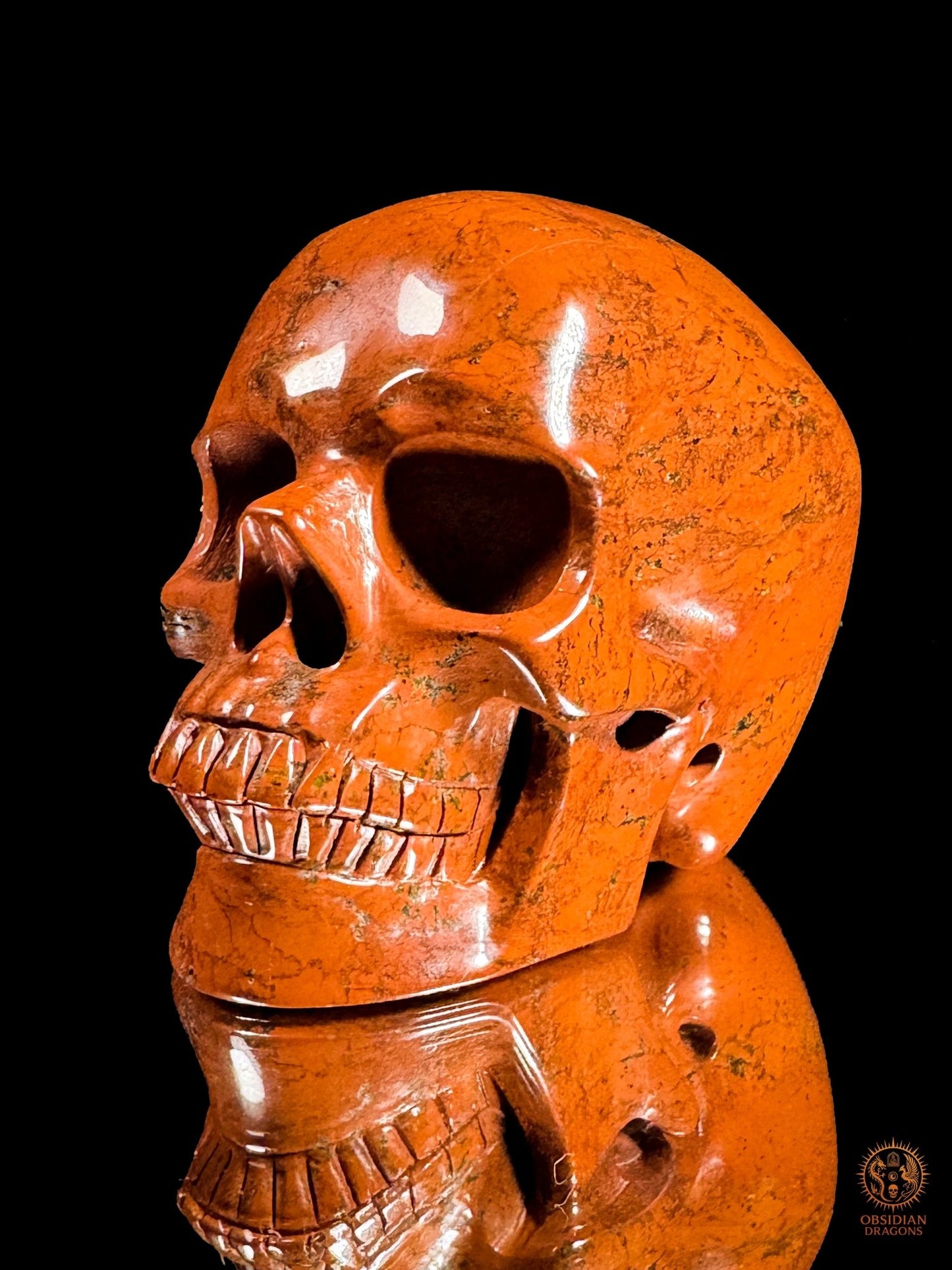 Crâne en jaspe rouge - Vanité minérale de collection | obsidian dragons