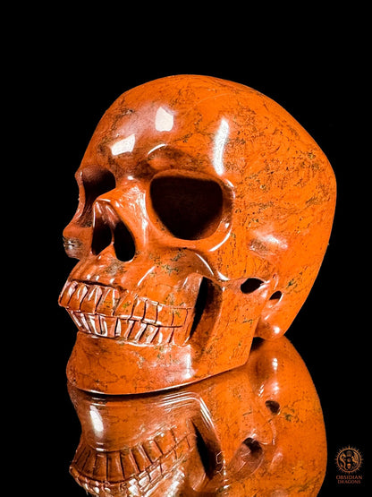 Crâne en jaspe rouge - Vanité minérale de collection | obsidian dragons