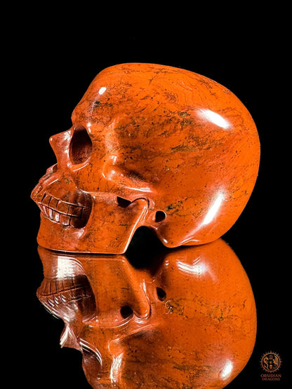 Crâne en jaspe rouge - Vanité minérale de collection | obsidian dragons