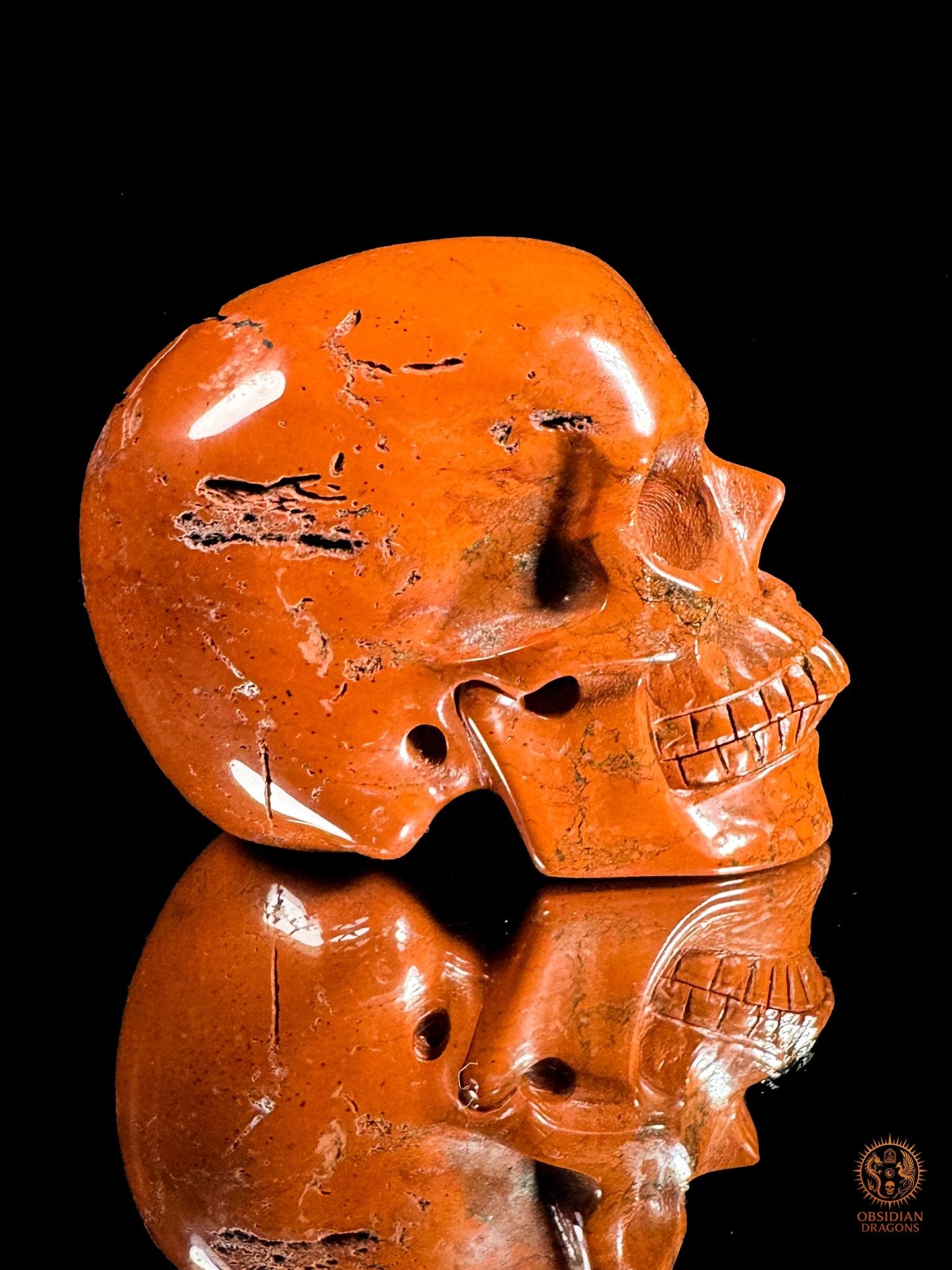 Crâne en jaspe rouge - Vanité minérale de collection | obsidian dragons