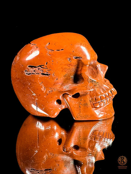 Crâne en jaspe rouge - Vanité minérale de collection | obsidian dragons