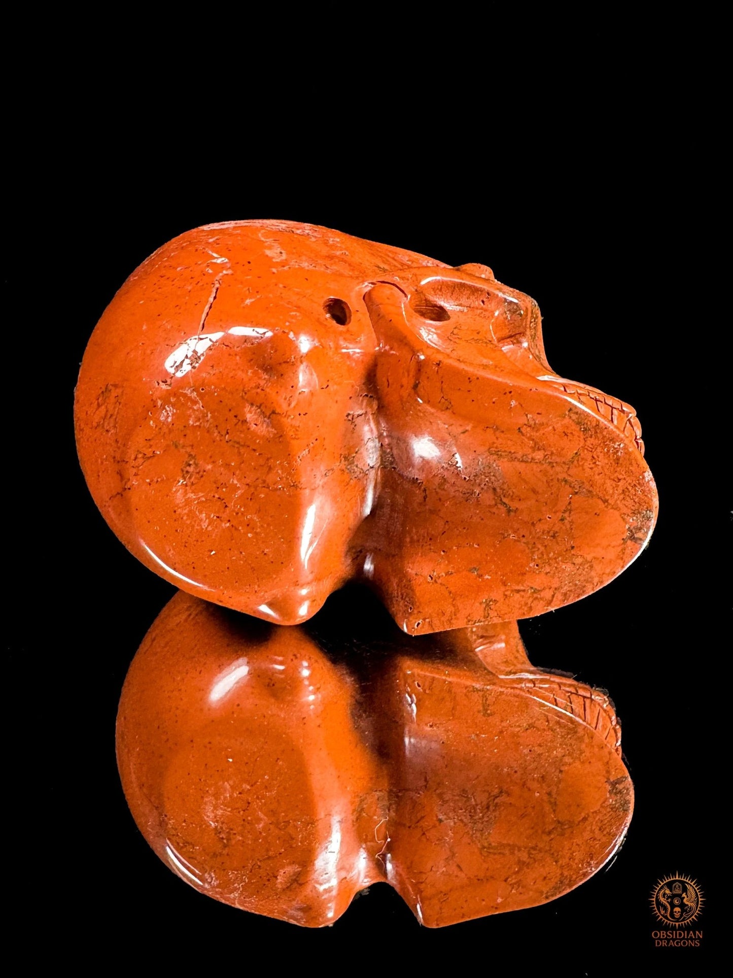 Crâne en jaspe rouge - Vanité minérale de collection | obsidian dragons