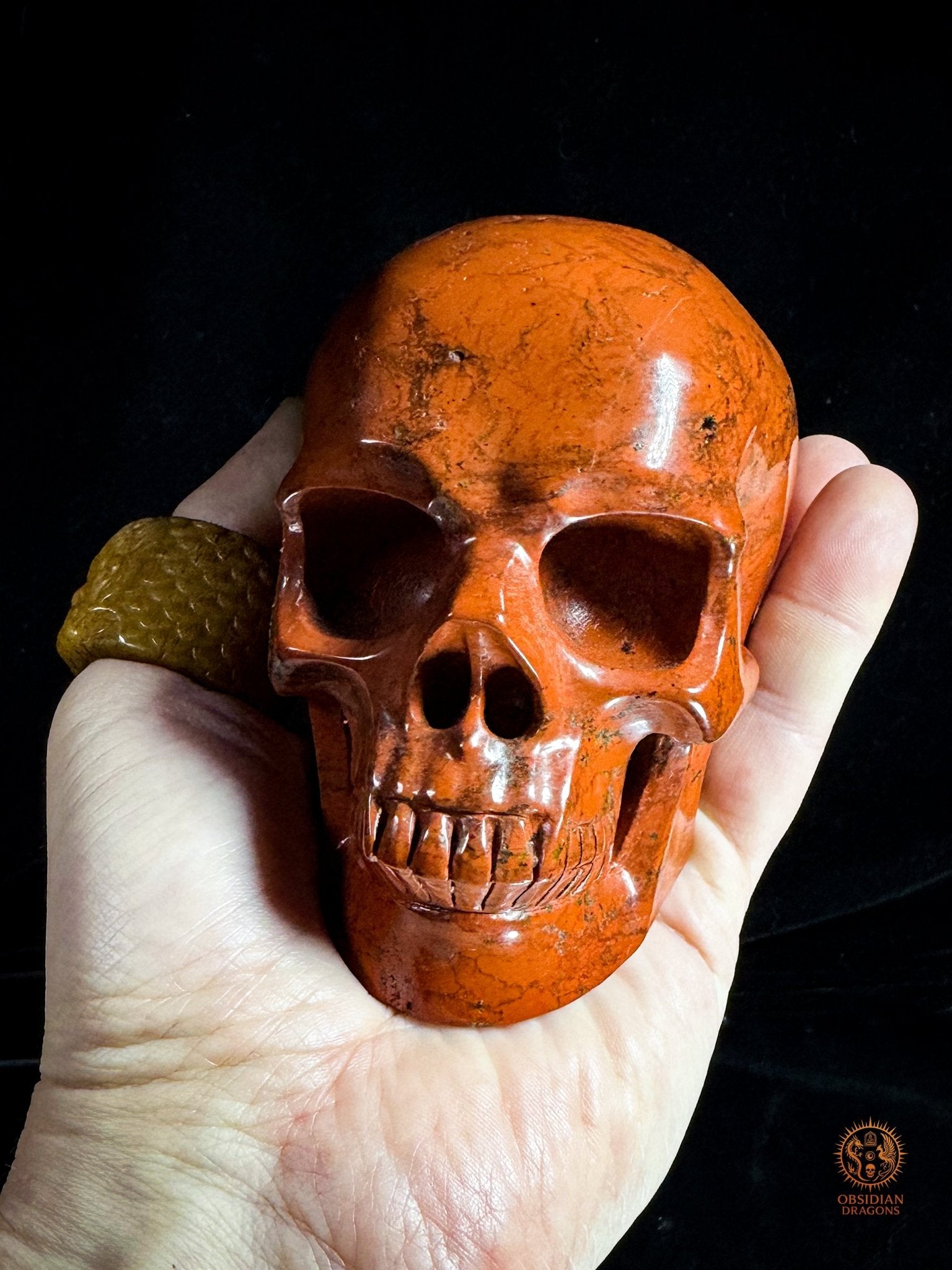 Crâne en jaspe rouge - Vanité minérale de collection | obsidian dragons