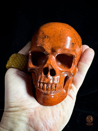 Crâne en jaspe rouge - Vanité minérale de collection | obsidian dragons