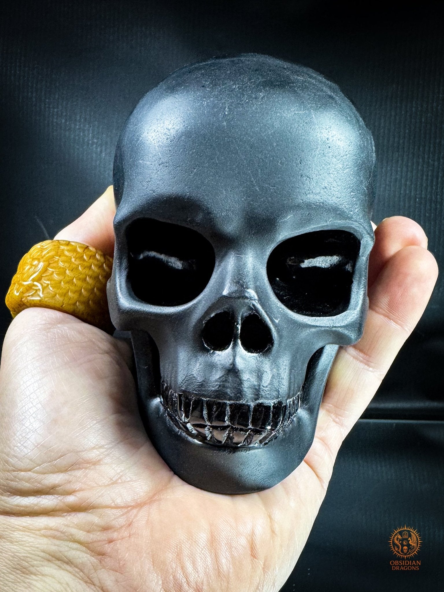 Crâne en obsidienne noire hyper réaliste poli/dépoli | obsidian dragons